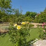 Apartament Stars
