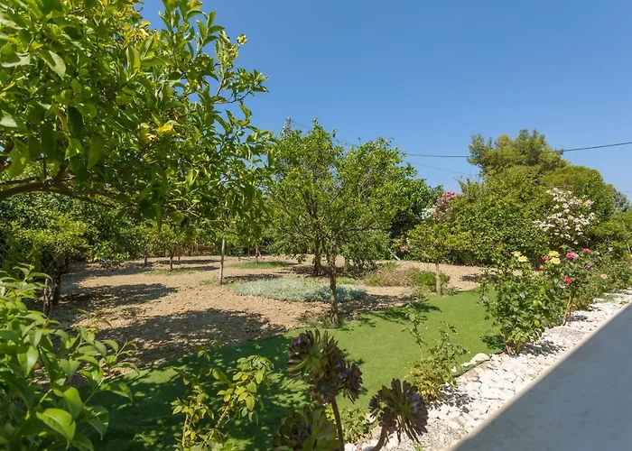 Stars Lejlighed Laganas